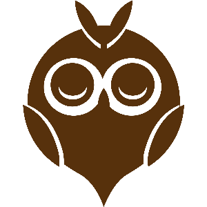 Owlsy logo